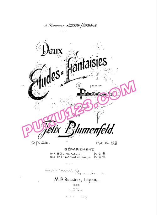 天天钢琴网-免费下载Blumenfeld - 2 Etudes Fantaisies Op.25