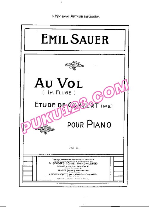 天天钢琴网-免费下载Sauer - Etudes de Concert No.8, Au Vol